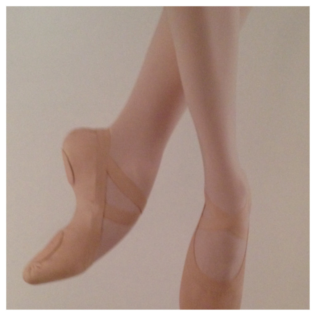 Adult Pro Elastic Ballet Shoe